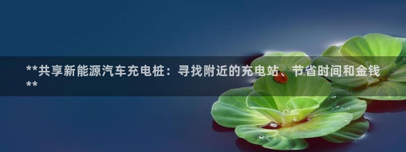 威廉国际是不是真的：**共享新能源汽车充电桩：寻找附近的充电站、节省时间和金钱
**