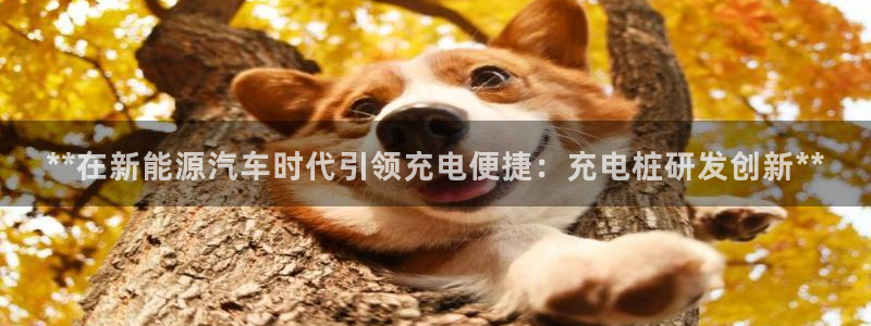 威廉希尔让一球胜率有多高：**在新能源汽车时代引领充电便捷：充电桩研发创新**