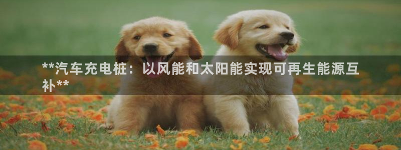 威廉希尔让球盘和竞彩让球盘对比：**汽车充电桩：以风能和太阳能实现可再生能源互
补**