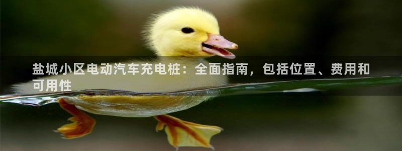 威廉体育官方app下载安装手机版：盐城小区电动汽车充电桩：全面指南，包括位置、费用和
可用性