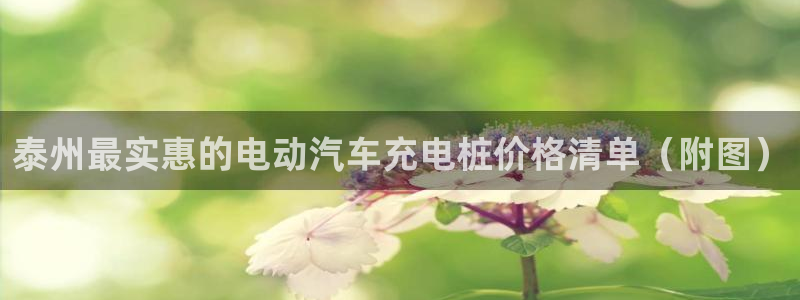 威廉希尔诺贝尔模型：泰州最实惠的电动汽车充电桩价格清单（附图）