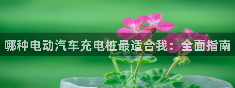 威廉希尔1.3 5.5：哪种电动汽车充电桩最适合我：全面指南