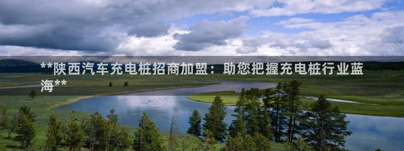 威廉游戏直播：**陕西汽车充电桩招商加盟：助您把握充电桩行业蓝
海**