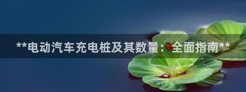 威廉英语app下载安装：**电动汽车充电桩及其数量：全面指南**