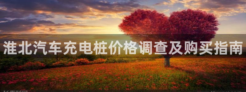 威廉国际骗局：淮北汽车充电桩价格调查及购买指南
