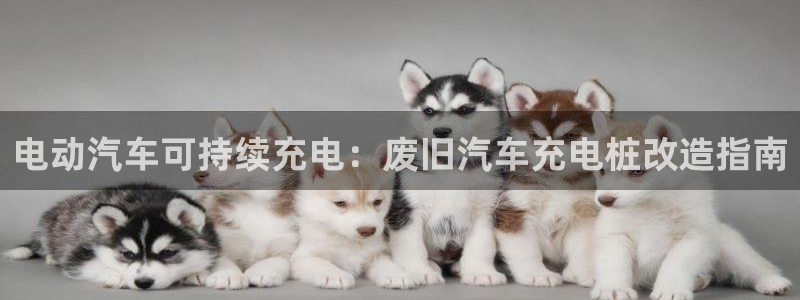 威廉希尔中国欢迎你：电动汽车可持续充电：废旧汽车充电桩改造指南