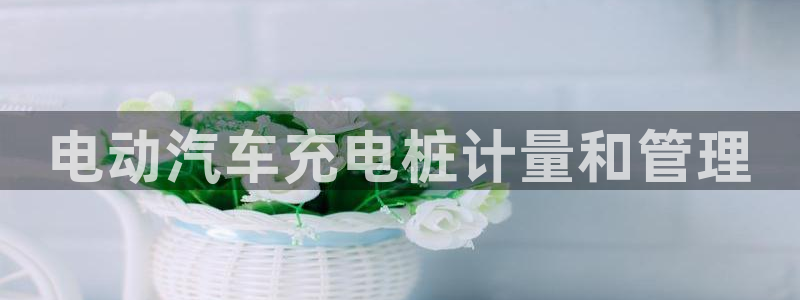 威廉希尔inter凯利指数：电动汽车充电桩计量和管理
