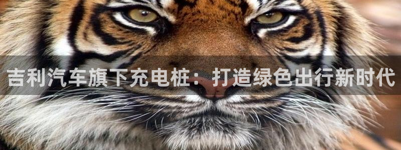 威廉 a
