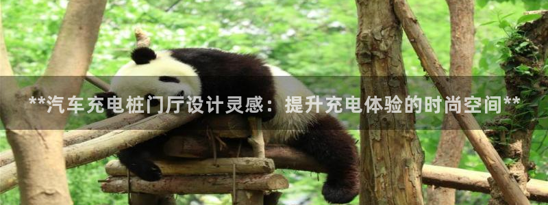 威廉希尔 1.44 3.70 7.50：**汽车充电桩门厅设计灵感：提升充电体验的时尚空间**