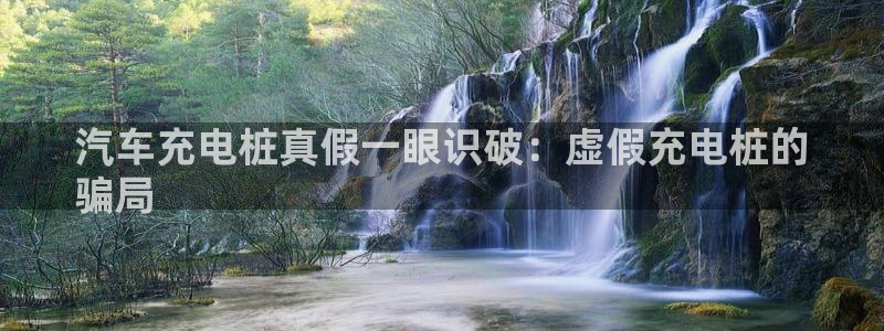 威廉国际马术中心：汽车充电桩真假一眼识破