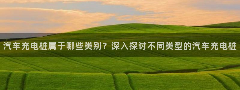 威廉希尔1.62 3.8 4.33：汽车充电桩属于哪些类别？深入探讨不同类型的汽车充电桩