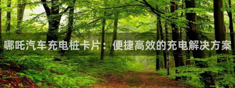 威廉指标的参数是多少：哪吒汽车充电桩卡片：便捷高效的充电解决方案
