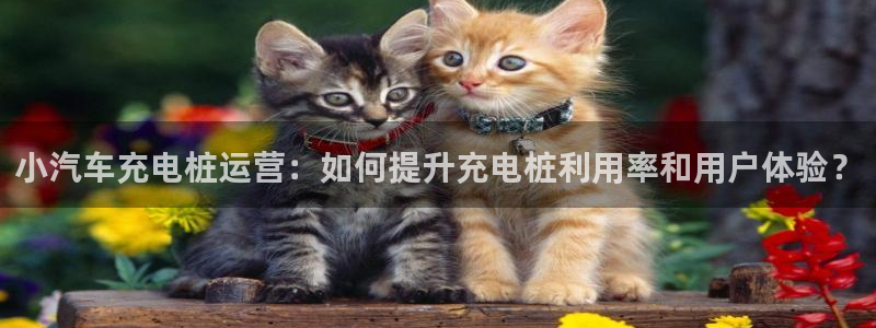 威廉希尔足球分析师：小汽车充电桩运营：如何提升充电桩利用率和用户体验？