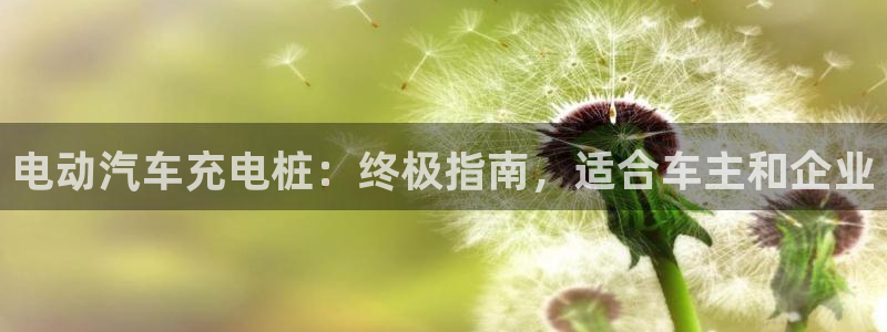 威廉游戏直播：电动汽车充电桩：终极指南，适合车主和企业