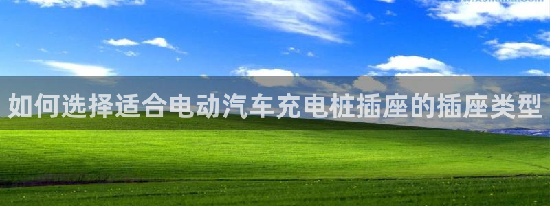 威廉希尔竞彩欧指