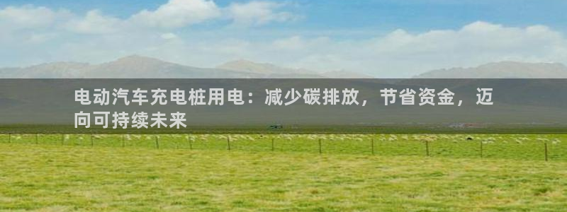 威廉指数100：电动汽车充电桩用电：减少碳排放，节省资金，迈
向可持续未来