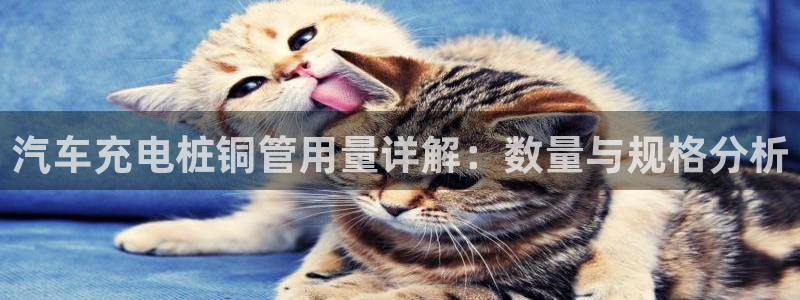 威廉希尔买入量从哪里看：汽车充电桩铜管用