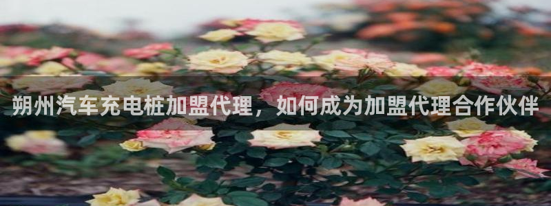 威廉游戏主页：朔州汽车充电桩加盟代理，如何成为加盟代理合作伙伴