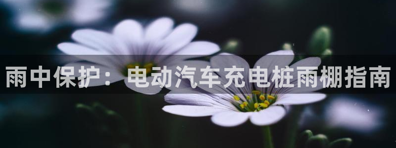 威廉体育中文：雨中保护：电动汽车充电桩雨棚指南