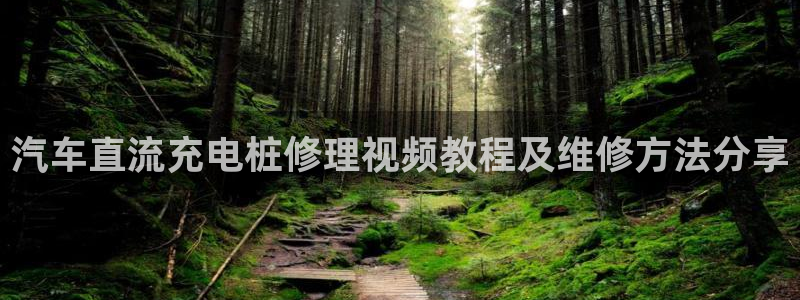 威廉希尔进球数的开盘特点：汽车直流充电桩修理视频教程及维修方法分享