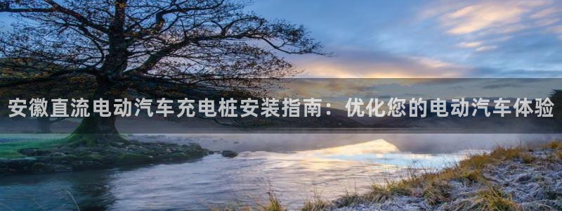 意甲的威廉希尔研究：安徽直流电动汽车充电桩安装指南：优化您的电动汽车体验
