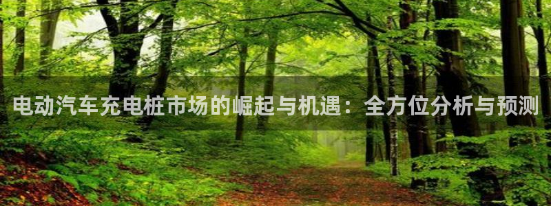 英国威廉希尔公司网站：电动汽车充电桩市场的崛起与机遇：全方位分析与预测