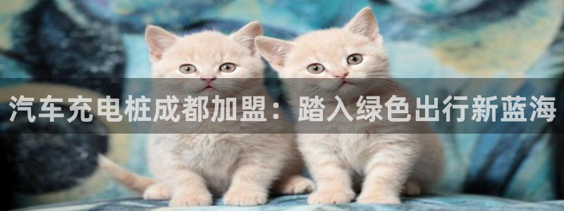 威廉希尔怎么看盘：汽车充电桩成都加盟：踏入绿色出行新蓝海