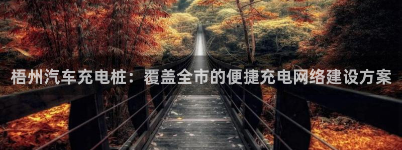 威廉希尔中文网站是不是真的假的：梧州汽车