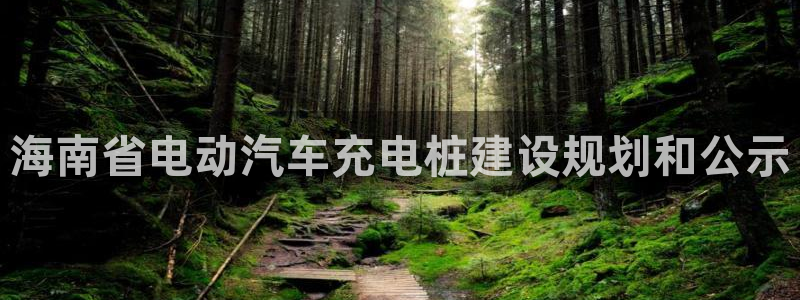 威廉希尔williamhill官网世界杯：海南省电动汽车充电桩建设规划和公示