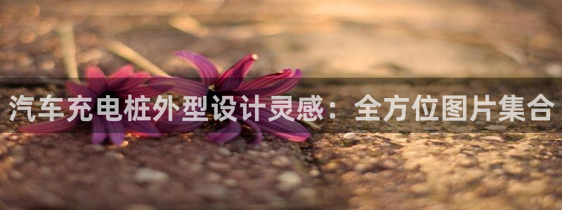 威廉希尔分析和结论