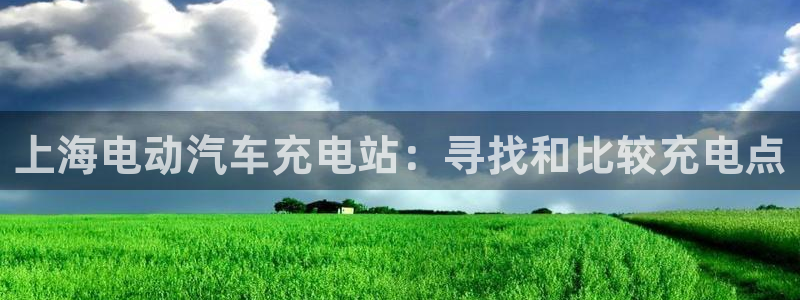 威廉希尔有中文吗：上海电动汽车充电站：寻找和比较充电点