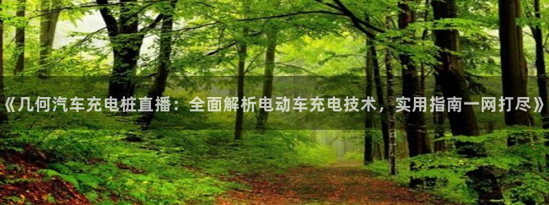 足球员威廉：《几何汽车充电桩直播：全面解析电动车充电技术，实用指南一网打尽》