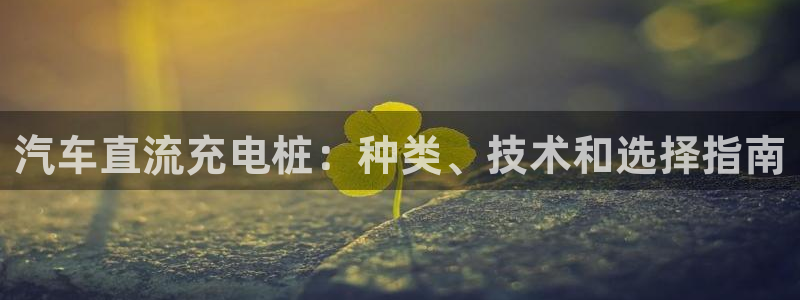 威廉娱乐：汽车直流充电桩：种类、技术和选择指南