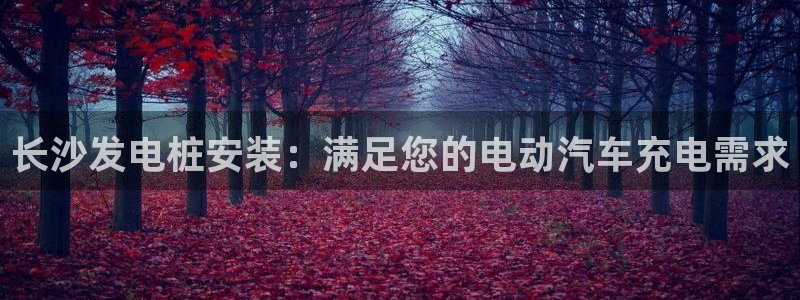 威廉希尔能提现吗：长沙发电桩安装：满足您的电动汽车充电需求