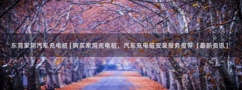 williamhill威廉希尔官网：东莞