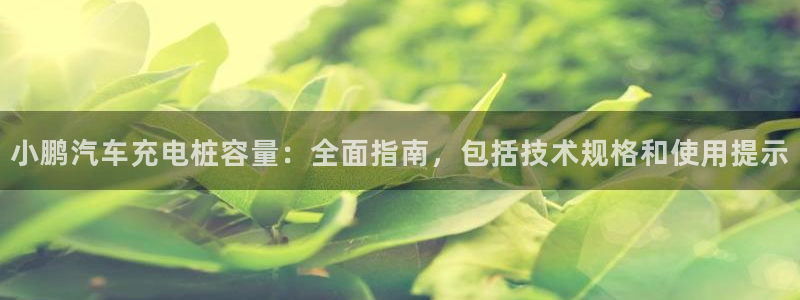 威廉希尔1.36数据：小鹏汽车充电桩容量
