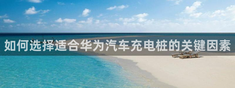 威廉希尔和inter初盘对比