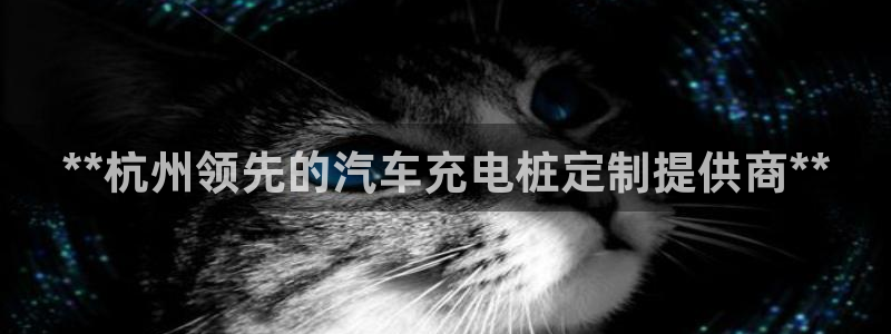 搜索威廉游戏主页：**杭州领先的汽车充电桩定制提供商**