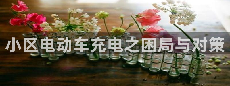 威廉希尔凯利指数怎么看：小区电动车充电之
