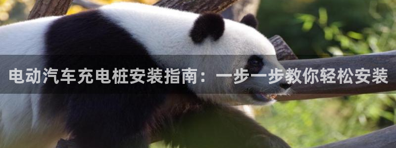 威廉希尔酒店集团董事长：电动汽车充电桩安装指南：一步一步教你轻松安装