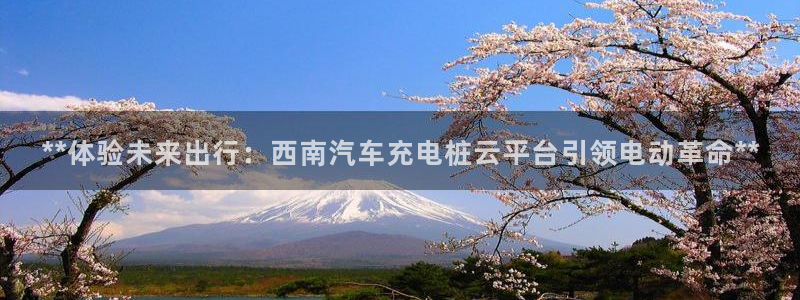 威廉与澳门的关系：**体验未来出行：西南汽车充电桩云平台引领电动革命**