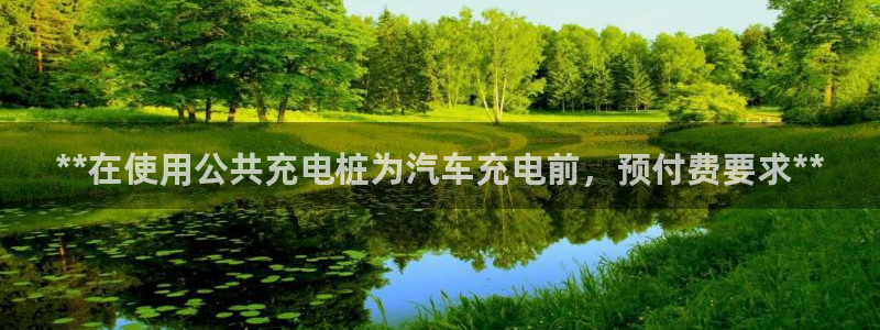 威廉希尔现金网：**在使用公共充电桩为汽车充电前，预付费要求**