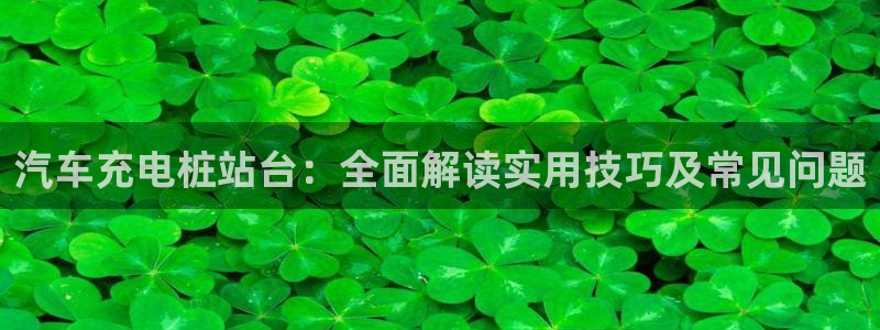 威廉体育中文官网：汽车充电桩站台：全面解