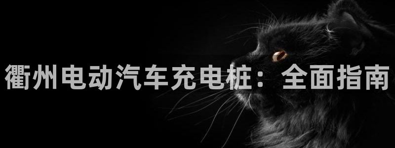 威廉希尔欧指和亚指区别