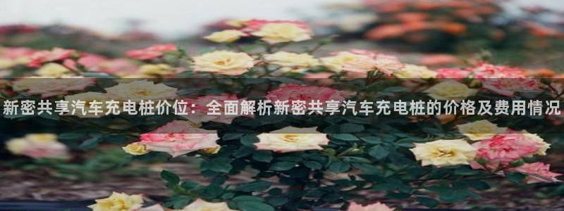 日乙威廉希尔：新密共享汽车充电桩价位：全面解析新密共享汽车充电桩的价格及费用情况