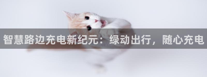 威廉希尔体育网：智慧路边充电新纪元：绿动