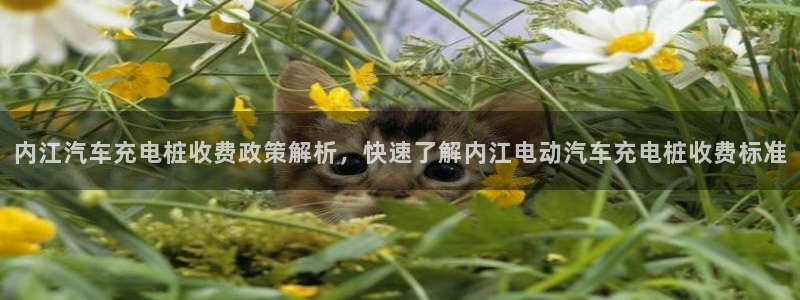 威廉希尔144初赔：内江汽车充电桩收费政策解析，快速了解内江电动汽车充电桩收费标准