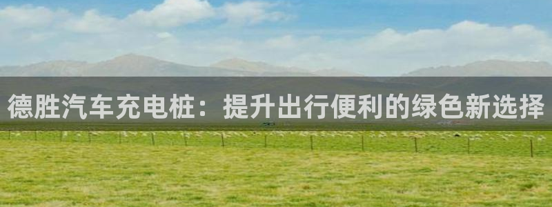 威廉国际骗局：德胜汽车充电桩：提升出行便