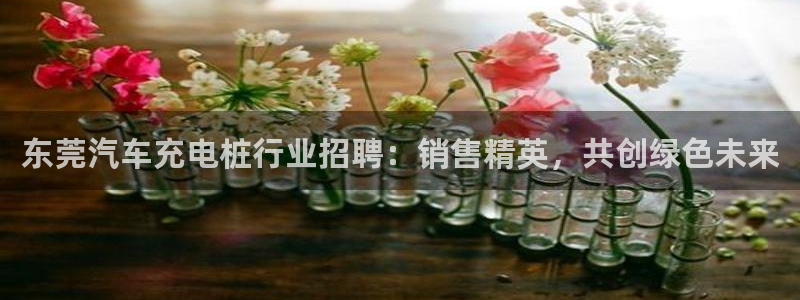 威廉希尔是什么水平的公司：东莞汽车充电桩