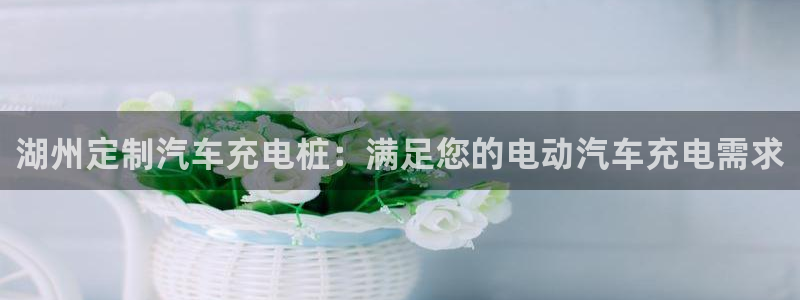 足球员威廉：湖州定制汽车充电桩：满足您的